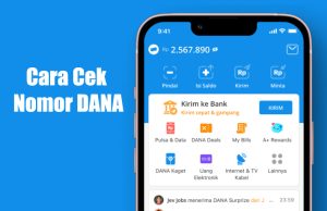 cara-cek-nomor-DANA