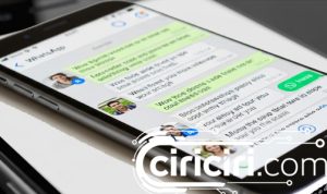 daftar whatsapp