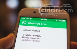 tidak bisa daftar whatsapp