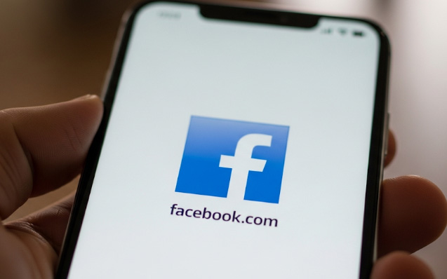 Apa Itu Facebook Pro
